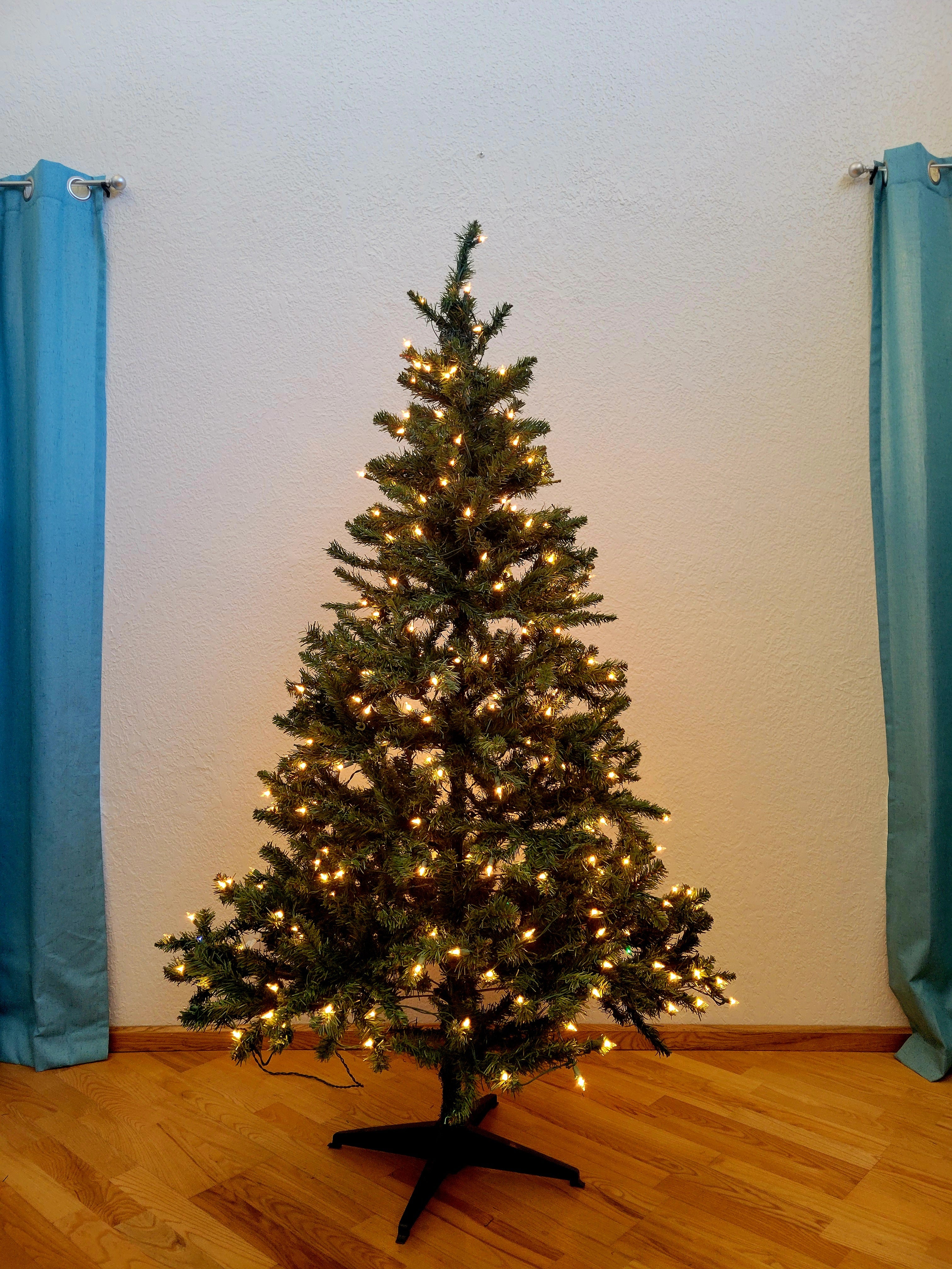 6 ft. Classic, Pre-lit (Warm White) - Artificial Rental